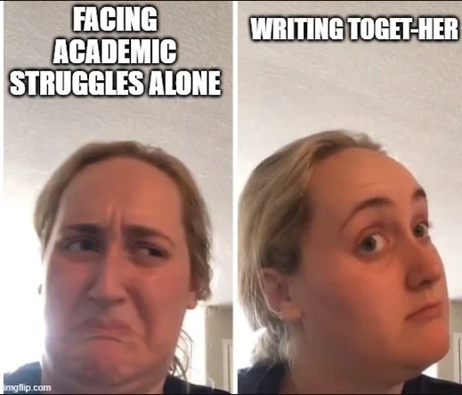 1paper1meme on academic writing struggles